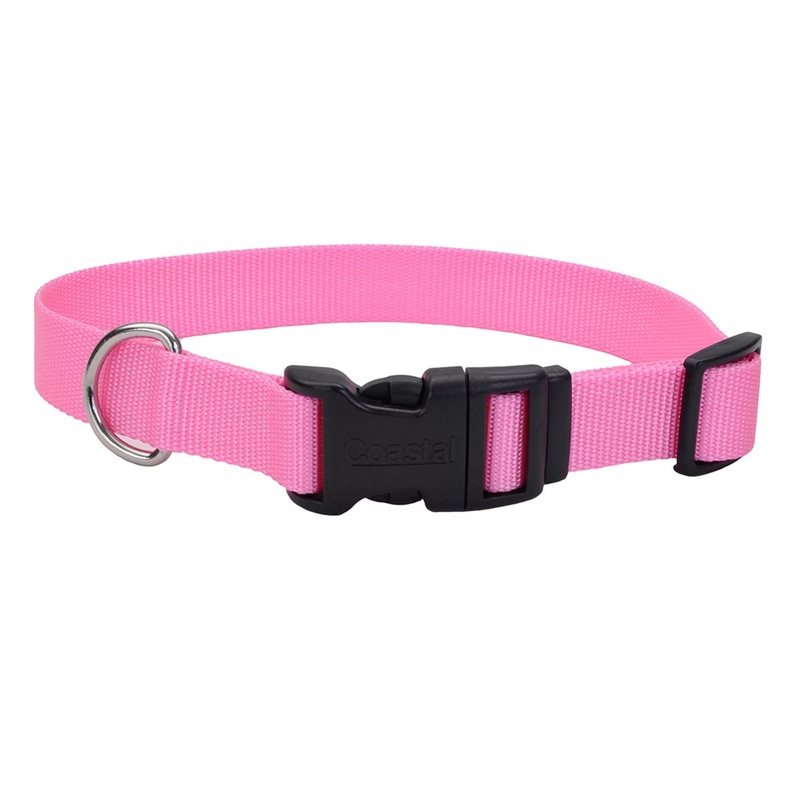 Coastal Pet Products Coastal Adjustable Dog Collar with Plastic Buckle Pink Bright, 1″ x 14″-20″