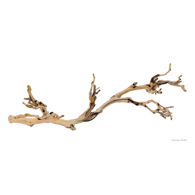 Exo Terra Forest Branch 12″ Small