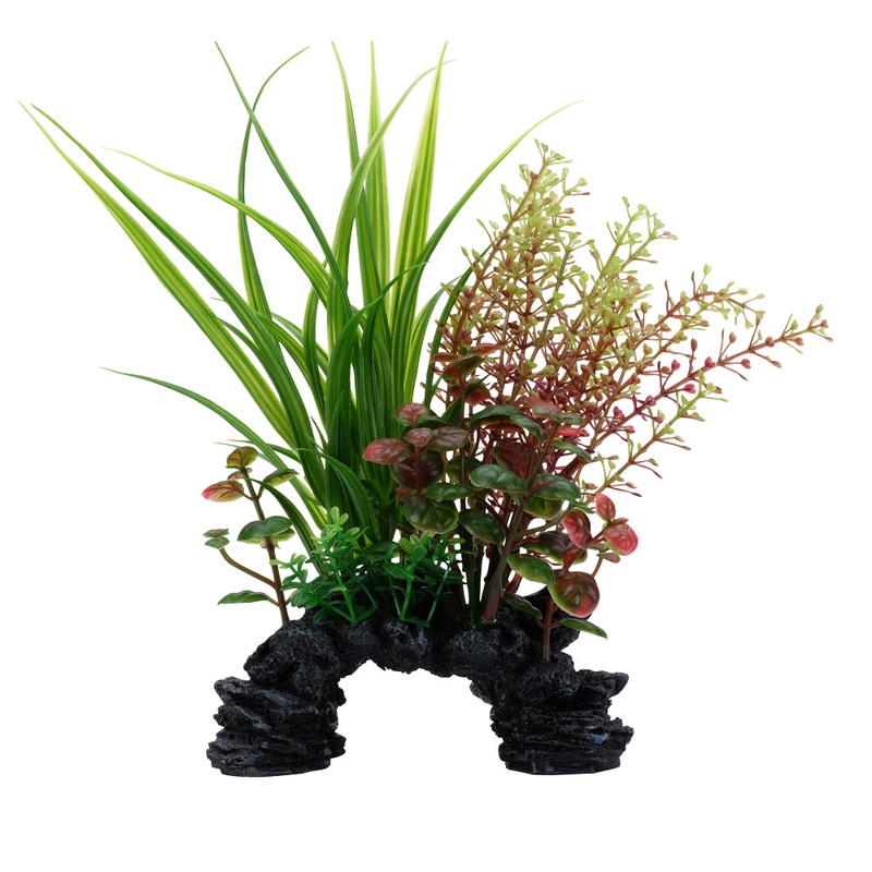 Fluval AQUAlife Sagittarius & Rotala Mix Plant – 6-8 inch