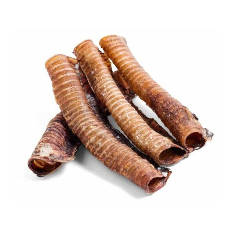 Dried Trachea