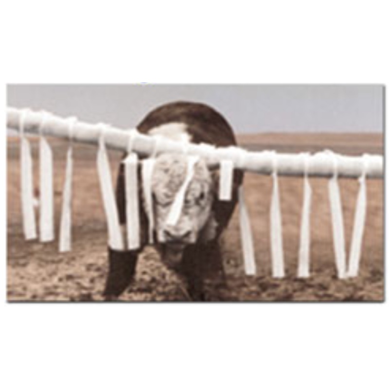 P H White Cow Life Cattle Rub Pink Eye & Fly Control