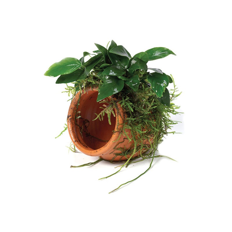 Paco & Fontinalis Terracotta Urn Creation Small