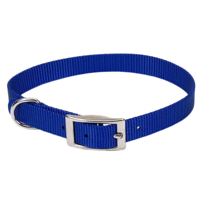 Coastal Pet Products Coastal Single-Ply Dog Collar Blue 5/8″ X 16″