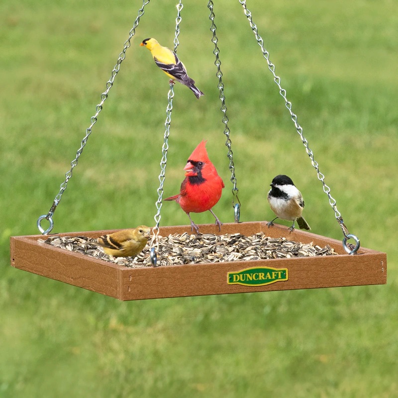 Duncraft Eco-Strong Platform Feeder