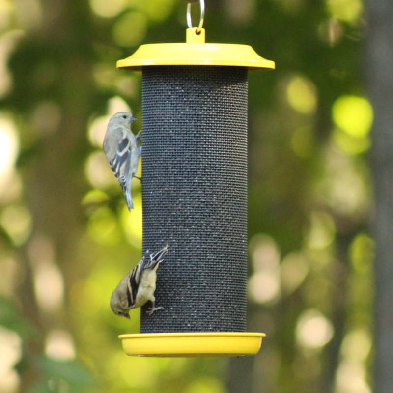 Nature’s Way Bird Sunglow Metal Mesh Thistle Bird Feeder