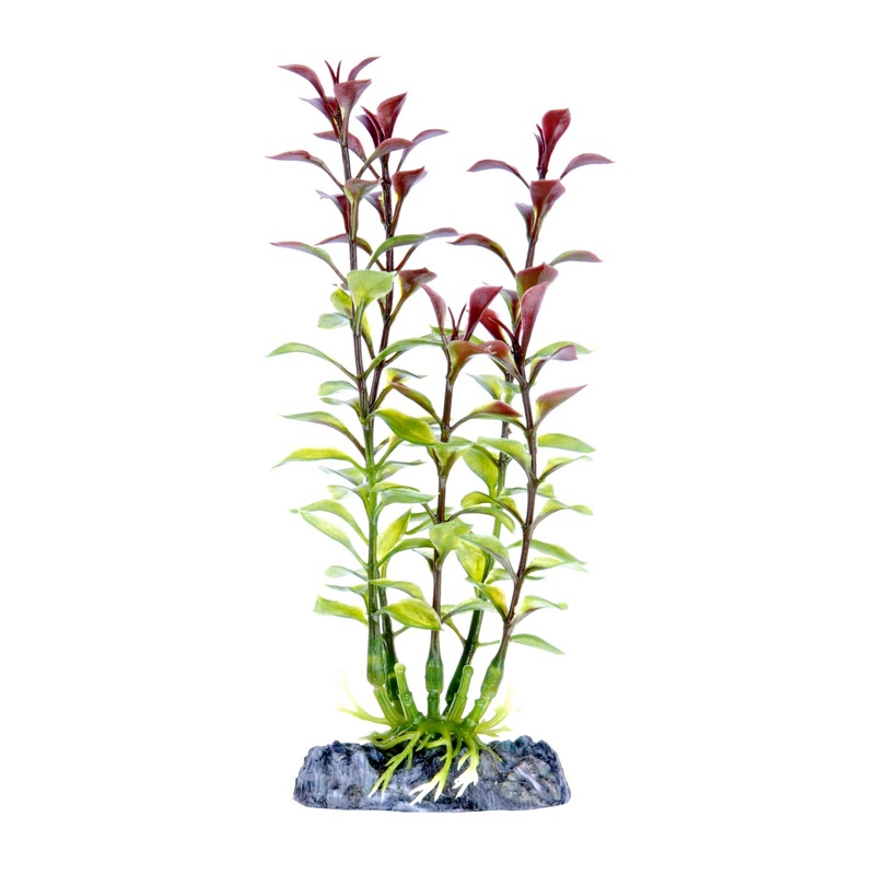 Penn Plax Red Ludwigia Plant 7 inch