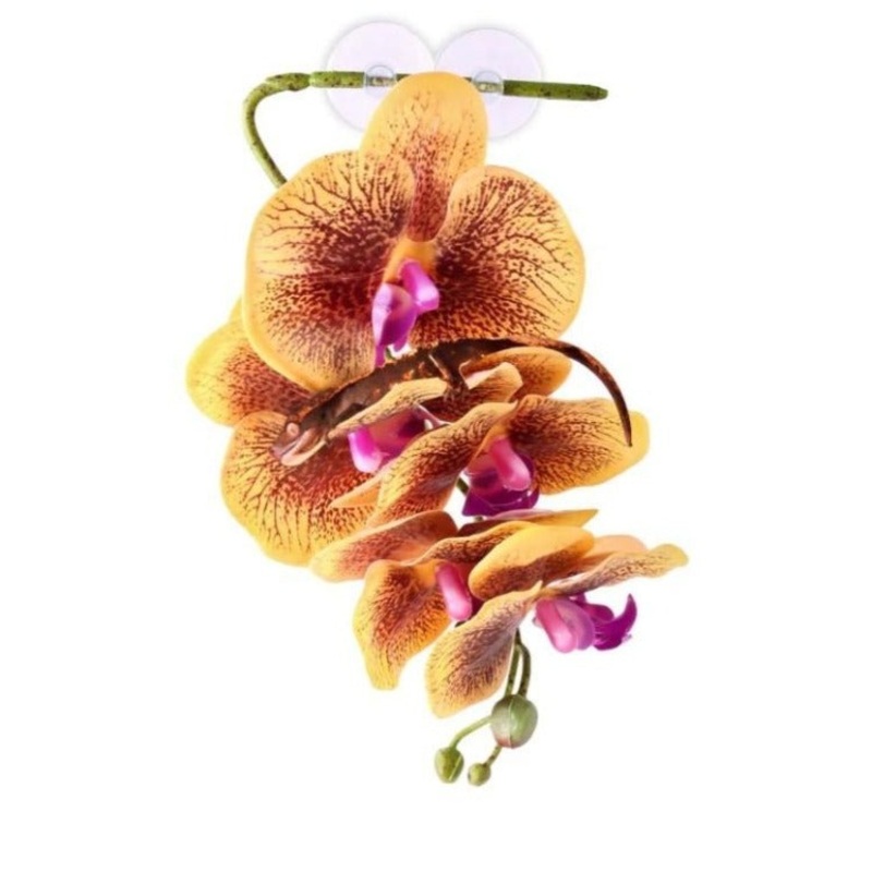 Pangea Hanging Orchid Terrarium Plant – Yellow