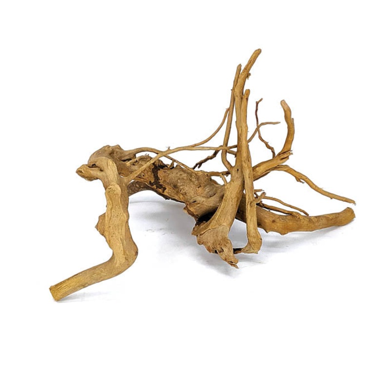 Spider Wood 1 Pack Regular