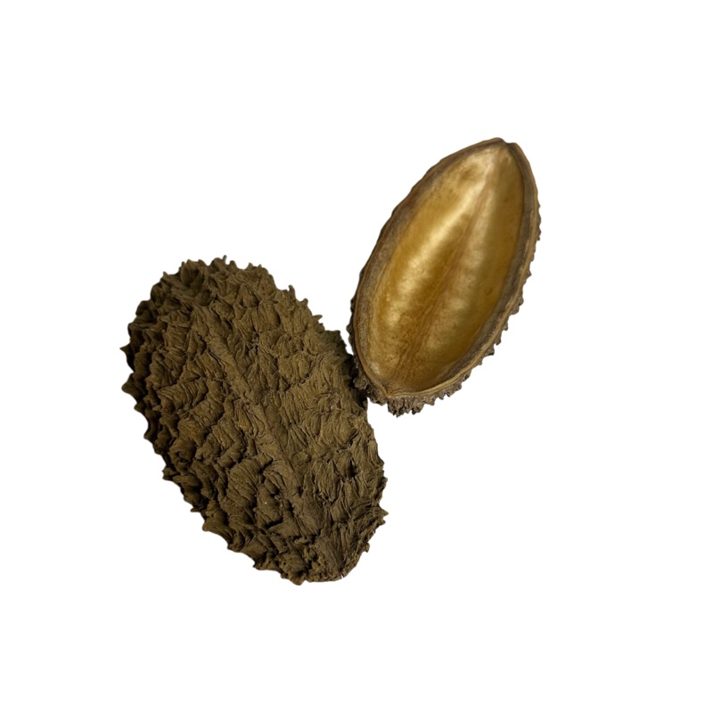Onca Pods