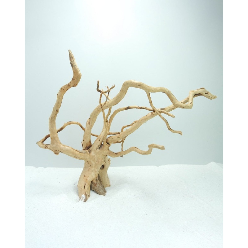 Wood Root – XL / 51-60CM / box