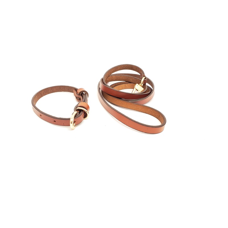 Dog Leash and Collar Set Brown – Small