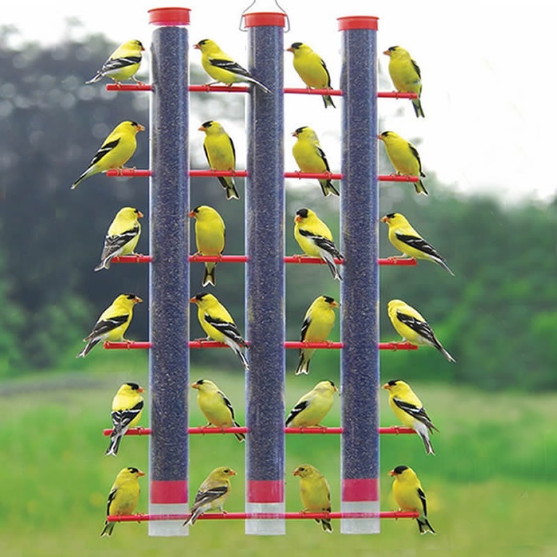 Finch’s Favorite 3-Tube Feeder