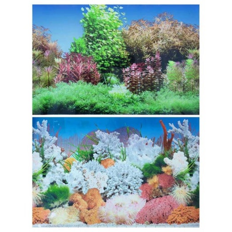 KW Zone Aquarium Backscreen (Picture) 24″x15m[Model – NF3 / M3]