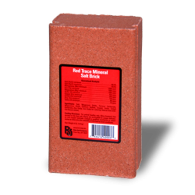 Roto Salt Red Trace Mineral Salt Brick 4 LB