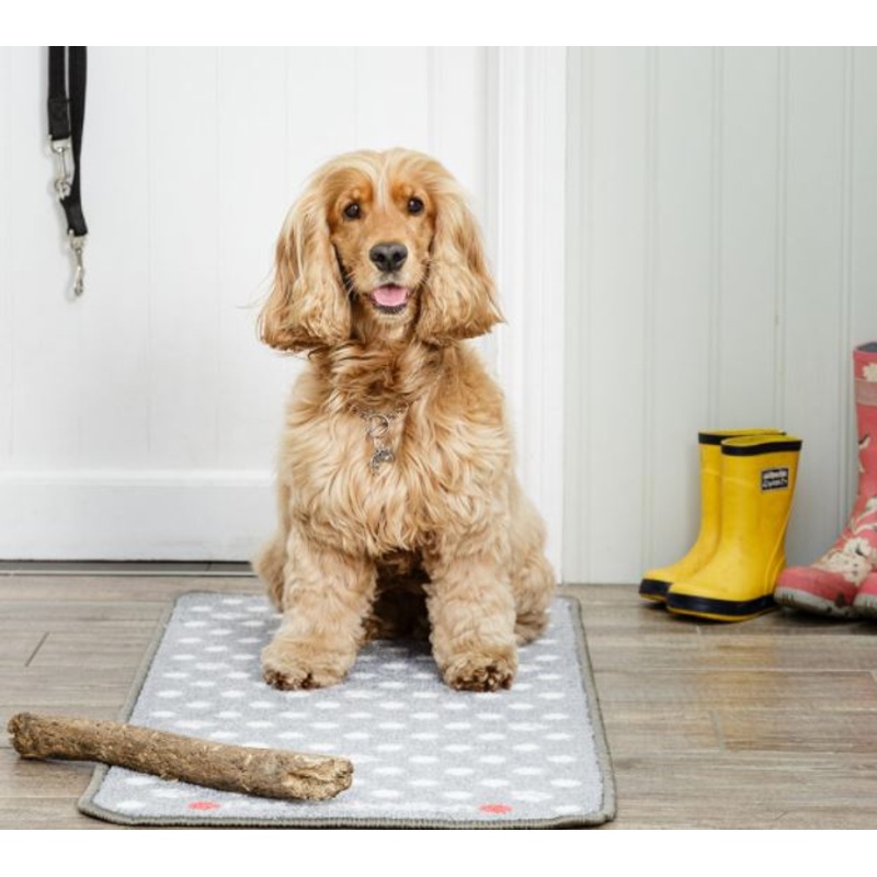 Stop Muddy Paws Dotty Grey 45 X 100cm