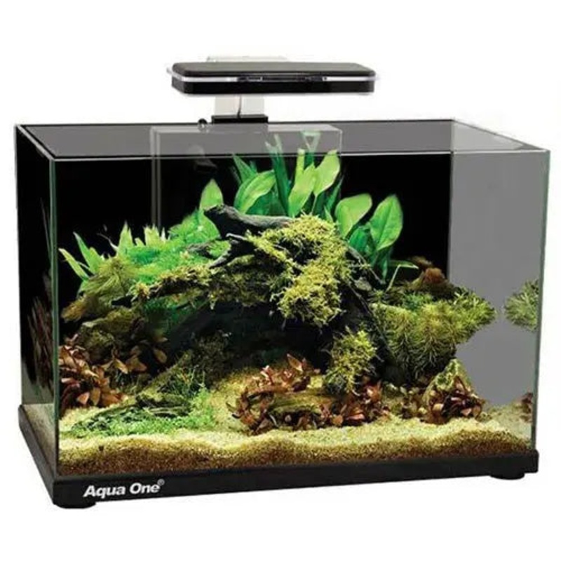 Aqua One Focus Tank 36L Black