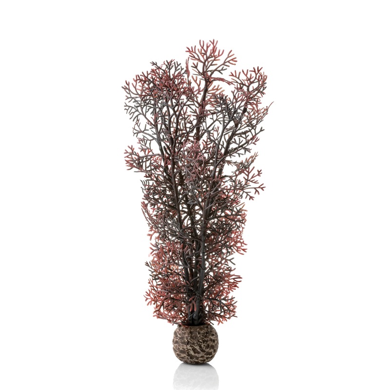 Oase BiOrb Medium Sea Fan Crimson