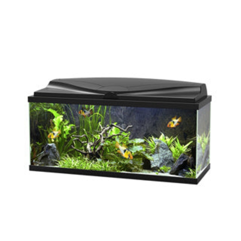Ciano Aquarium 80 LED – Black