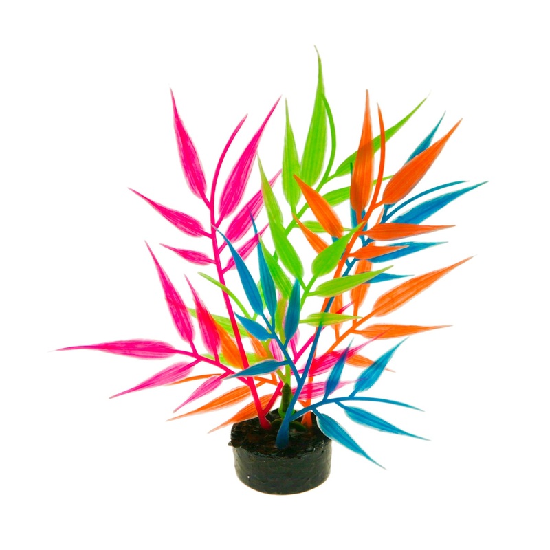 ColorBurst Florals Gravel Base Plant – Needle Leaf Multi Glow 3.25 inches