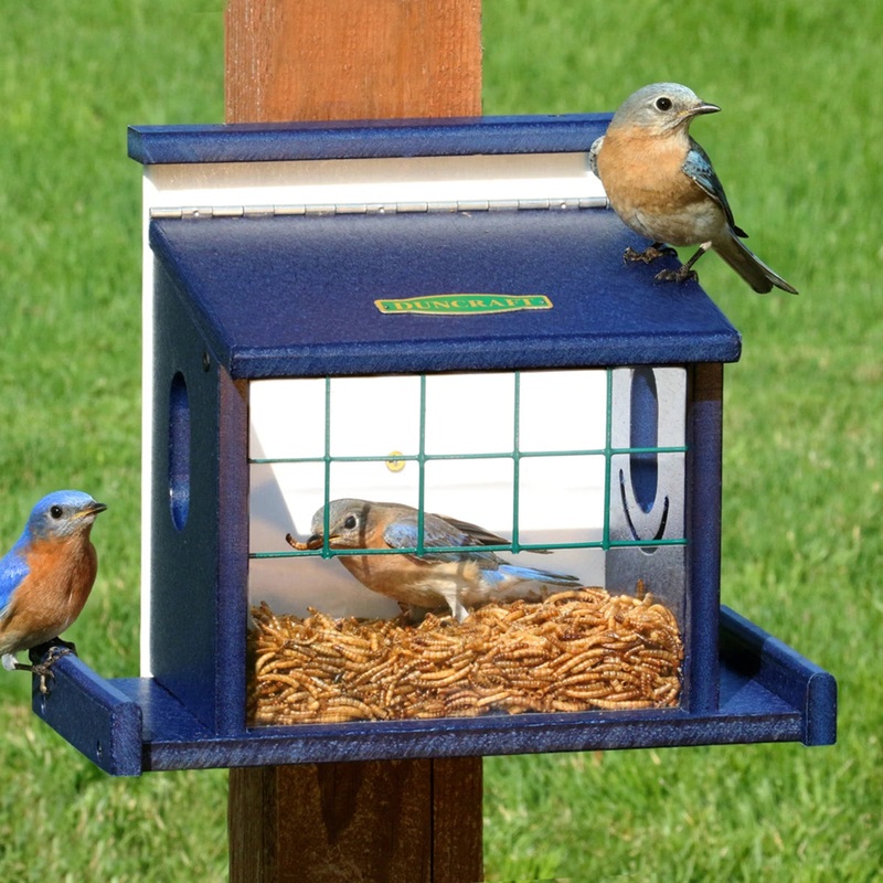 Duncraft Bluebird Diner Haven