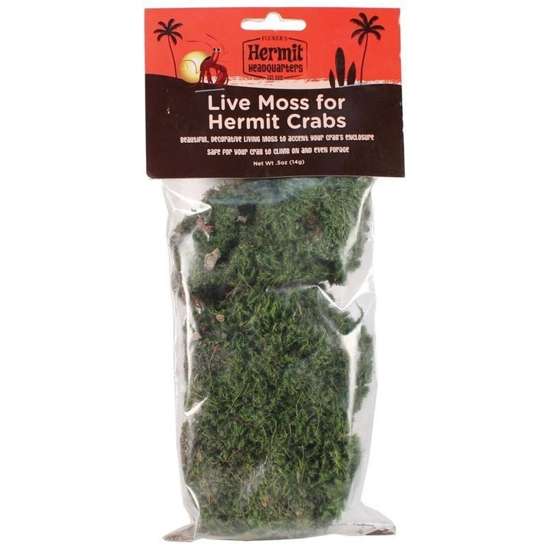 Fluker’s Live Moss for Hermit Crabs