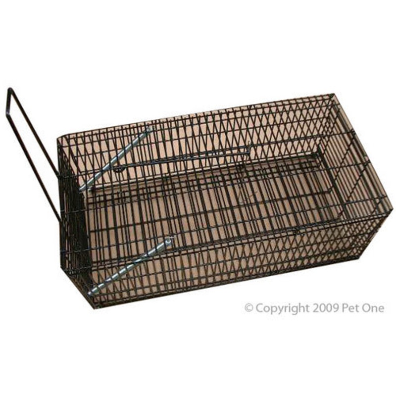 PET ONE RAT TRAP 35L X 18W X 13H CM