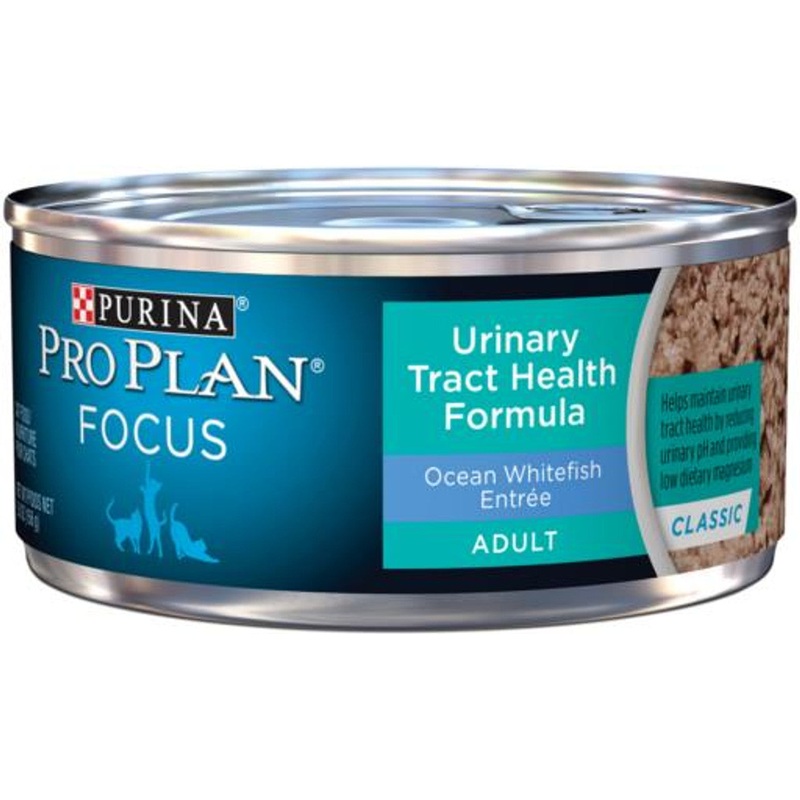 Purina Pro Plan Urinary Tract Health Pate Wet Cat Food Focus Urinary Tract He…