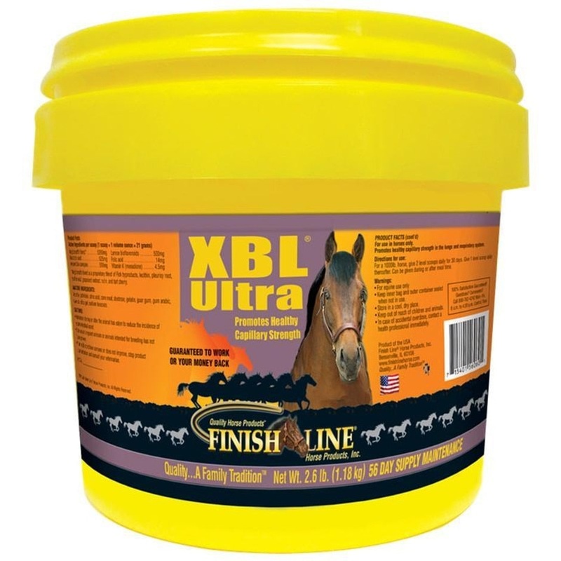 FINISH LINE XBL POWDER