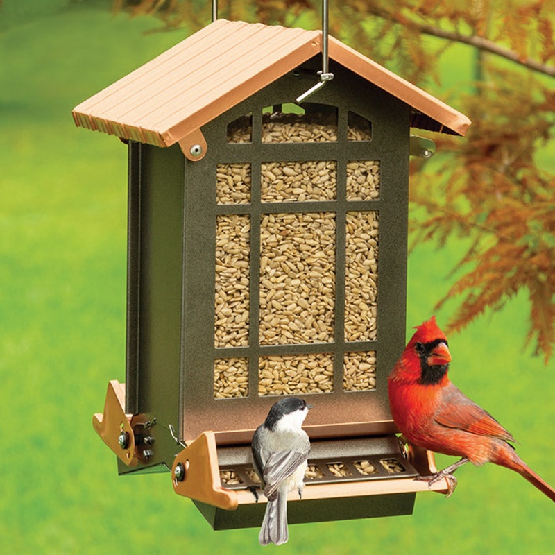 Chateau Mini Absolute Squirrel Resistant Feeder