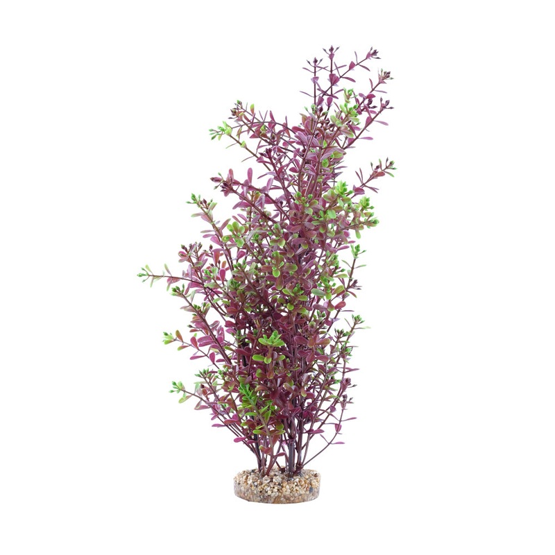 Fluval AQUAlife Red Rotala Plant – 10 inch