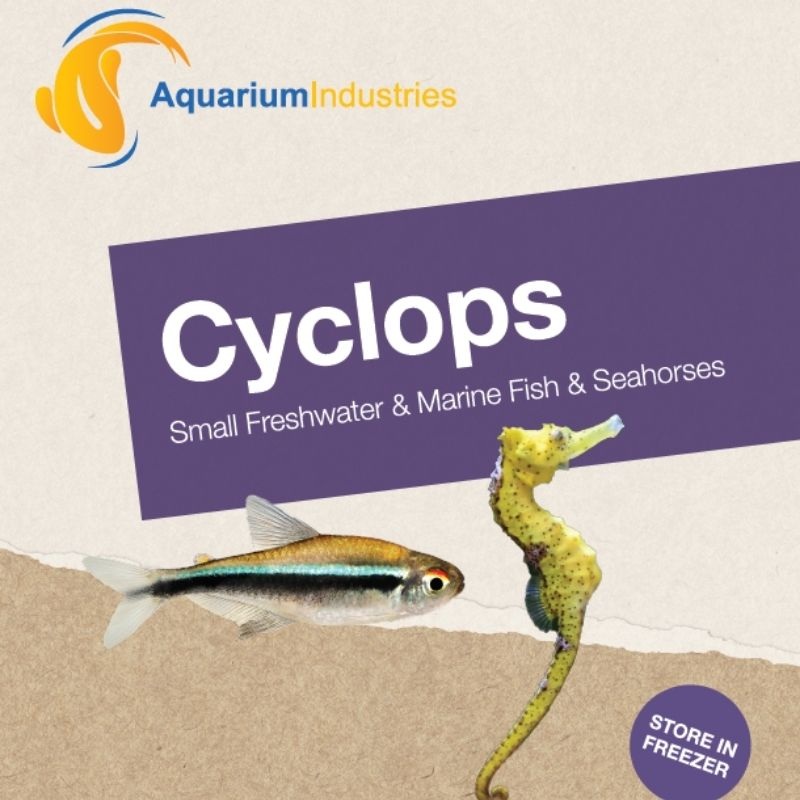 Frozen Cyclops (100g) 100g