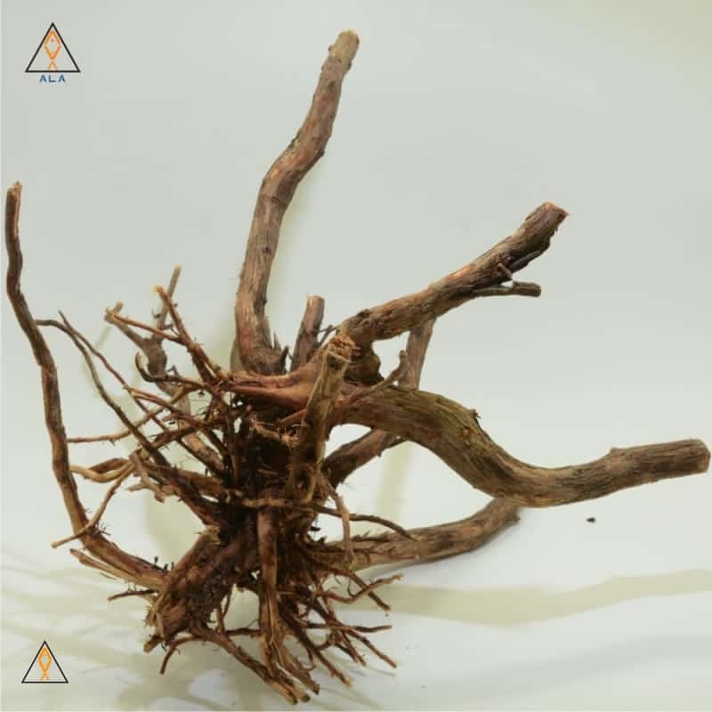 Alborz Wood Showpiece #22222 – ALA