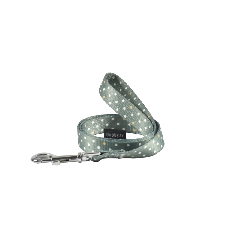 Pretty Leash – Green / Large