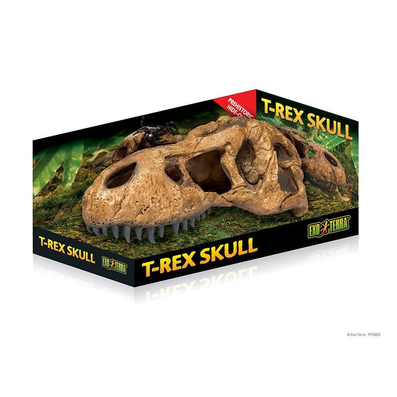 Exo Terra T Rex Skull Regular