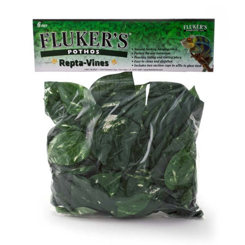Fluker’s Pothos Repta-Vines