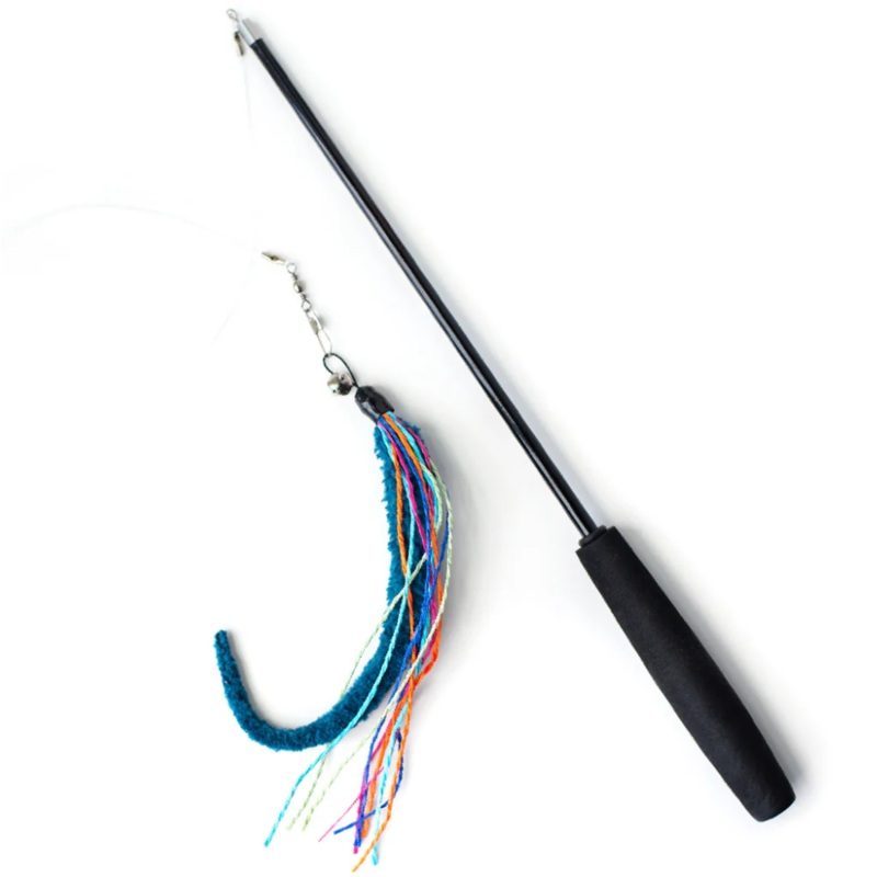 Wiggly Wand with Worm Cat Toy