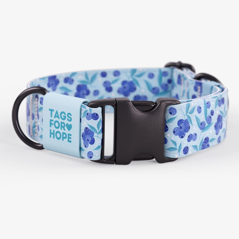 Blueberry Breeze Collar | Tags For Hope XXS
