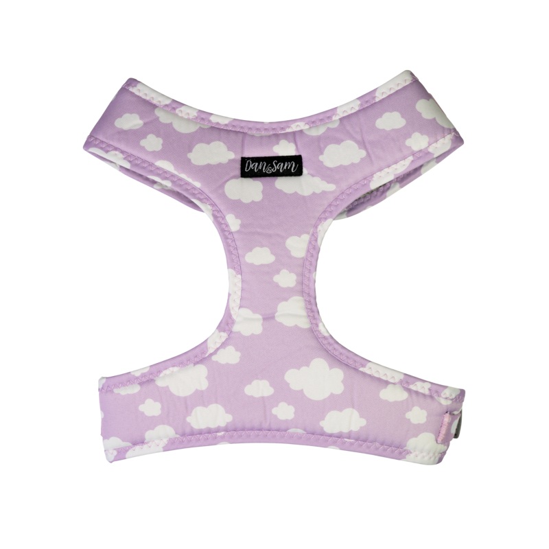 Dan & Sam – Dog Harness (Dreamer) – Small Small