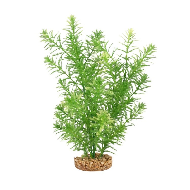 Fluval AQUAlife Green Myriophyllum Plant – 10 inch