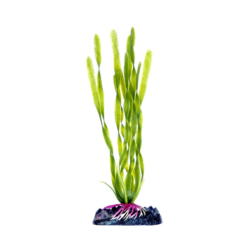 Penn Plax Corkscrew Val Plant 7 inch