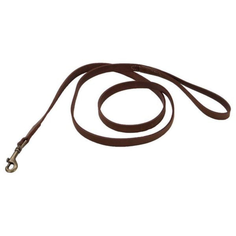 Circle T Rustic Leather Leash Chocolate 5/8-in Leather x 4-ft Long