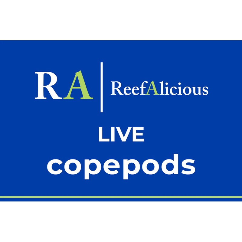 Reefalicious – Live Copepods