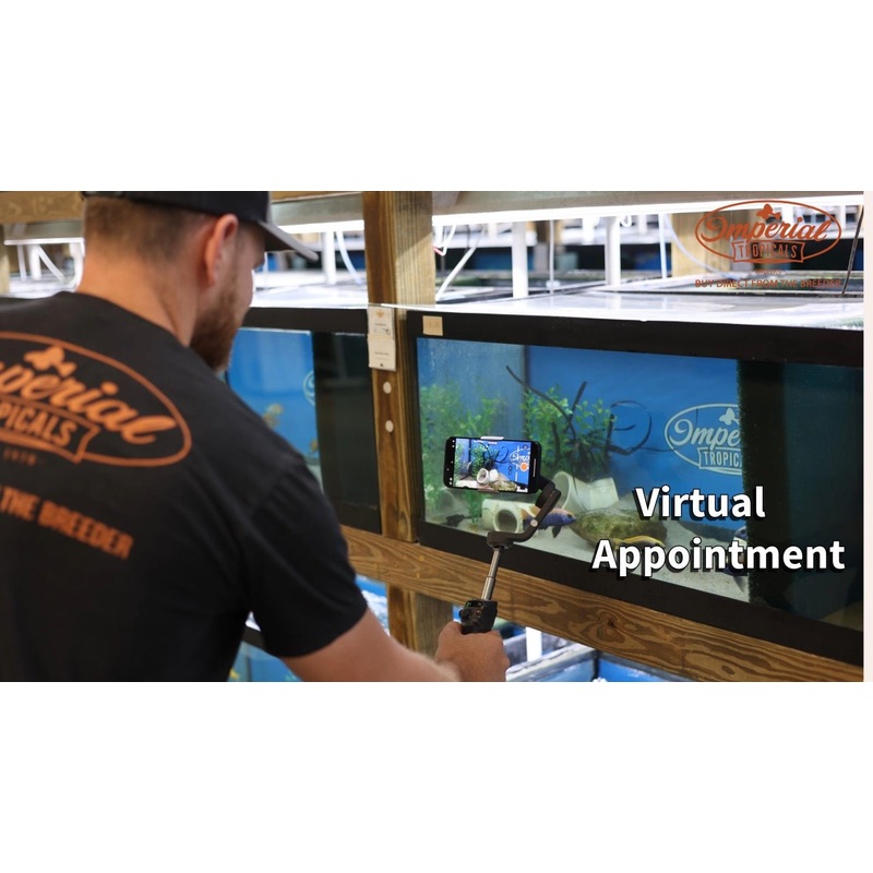 Schedule Virtual Appointment 30 Minutes