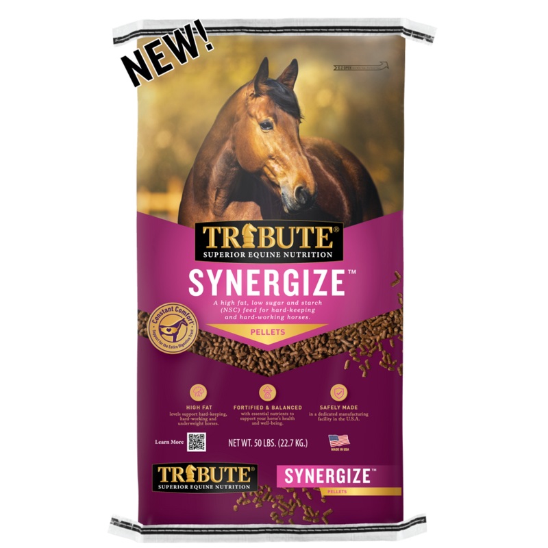 Tribute Synergize Pelleted Horse Feed