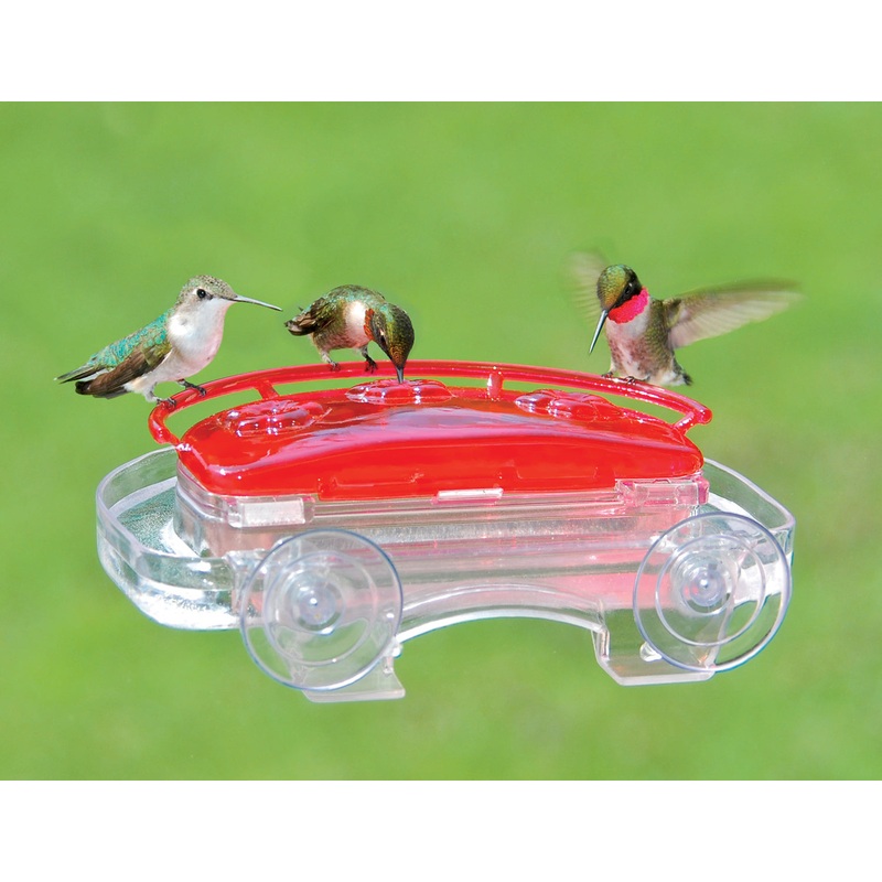 Aspects Jewel Box Hummingbird Feeder