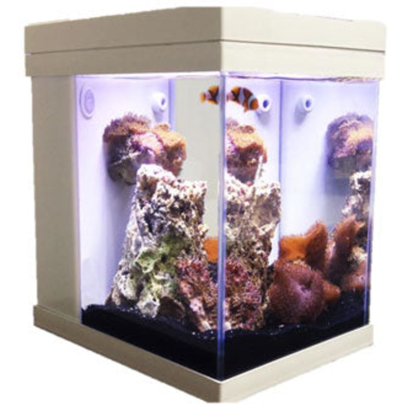 JBJ Aquarium – 3 Gallon Cubey Desktop Aquarium – White