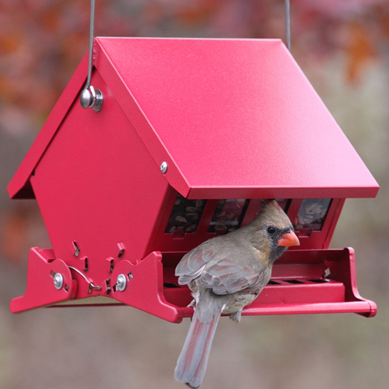 Mini Squirrel-Resistant Bird Feeder