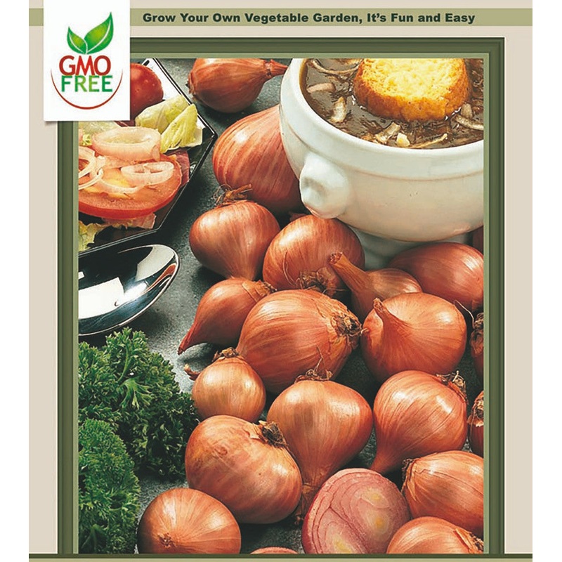 Hirt’s Gardens Red Shallots – Preferred by Chefs – 15 Bulbs 9/15 cm