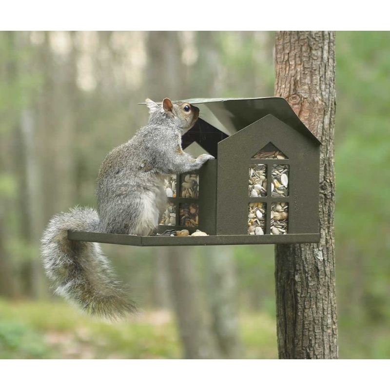 Metal Squirrel Feeder