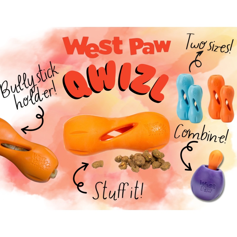 Qwizl Treat Toy (Assorted Colours) | West Paw S